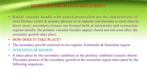 Secondary Growth in Dicot Stem & Root | PDF