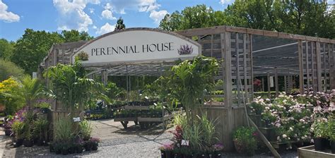 A Visit To Patuxent Nursery - Beyond Behnkes