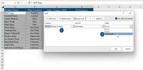 Image result for Advanced Excel Sorting
