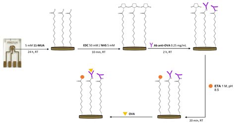 Maria Ryabushkina Onlyfans