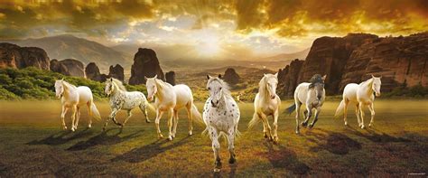Walls and Murals 7 Horse Vaastu Poster for Home - 7 Running Horses ...