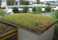 Dachaufbau Garage garagenbegruenung 04 dachgarten24512a5329f388a garage Dachaufbau Garage garagenbegruenung 04 dachgarten24512a5329f388a garage