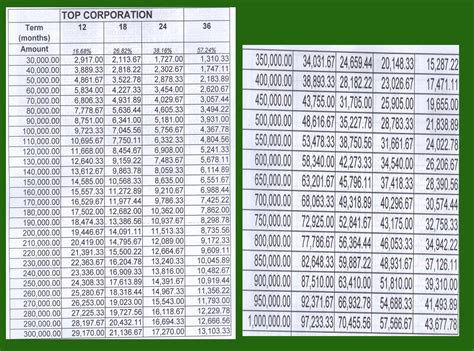 Image result for Amortization Table Example