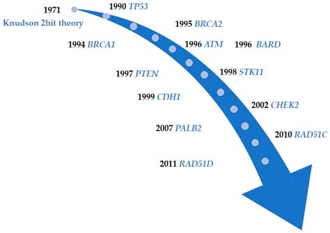 Functions of Breast Cancer Predisposition Genes: Implications for ...