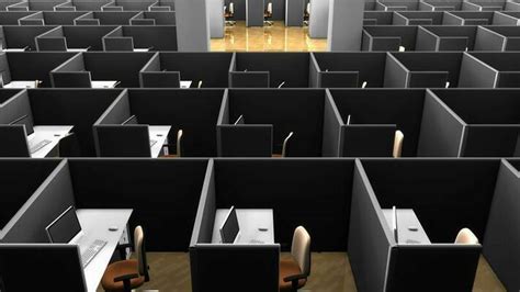 Work Animation 的图像结果