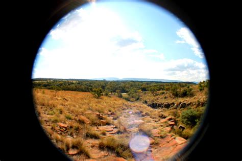 Beauty of Africa 的图像结果