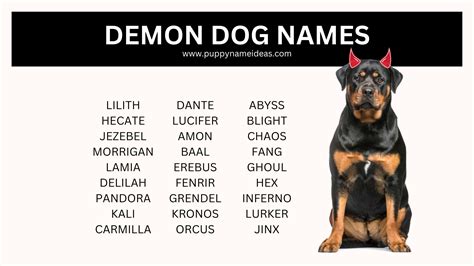 240+ Demon Dog Names - Puppy Name Ideas