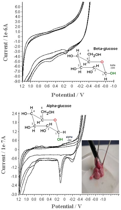 In-Vivo Glucose Assay on the Living Fish Brain Molecule and Human Urine ...