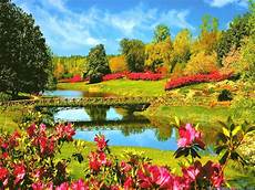 Background Design Nature Photo Background Wallpaper by Awesome Nature Wallpaper Desktop Background Gt Yodobi Background Design Nature Photo Background Wallpaper