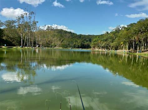 Pesqueiro Arujá com peixes de couro e pesca esportiva no interior paulista