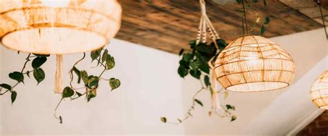 Beautiful Ceiling Paint Design and Ideas for Every Room in the Home.