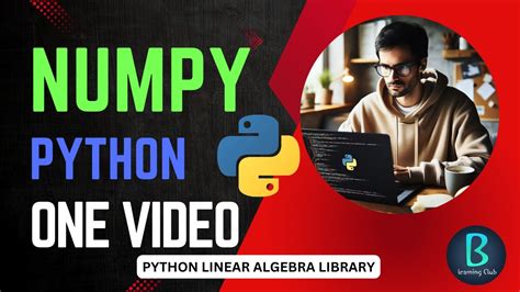 Python-Numpy Tutorial 的图像结果