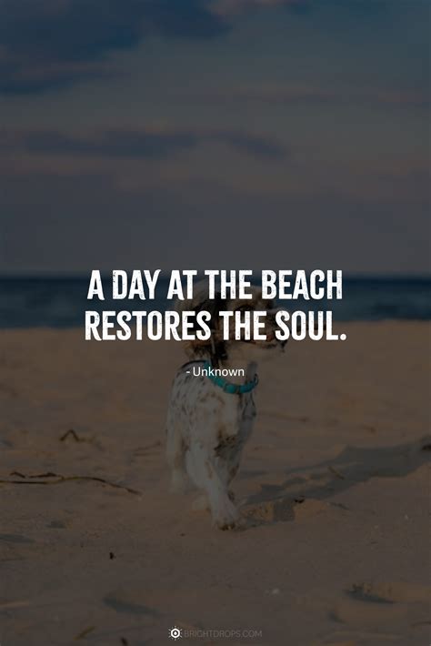 Beach Day Quotes 🏝On The Beach Quotes: 200 Best Quotes About The
