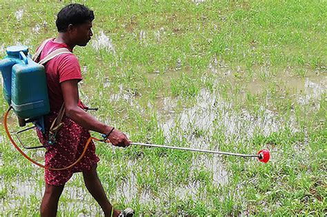 Aroh Foundation - Top NGO for CSR in India