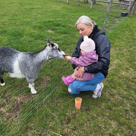 DYREHAVEN ENGHOLM (2026) All You Need to Know BEFORE You Go (with ...