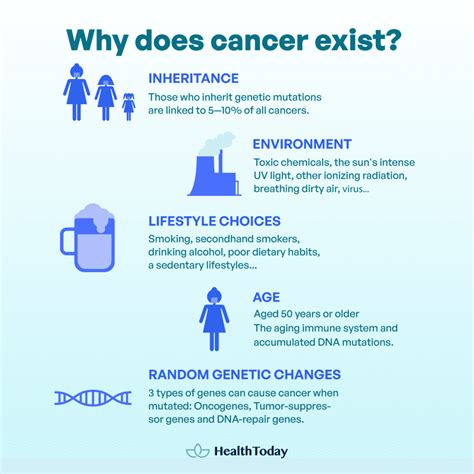 Image result for Normal vs Cancer Cells