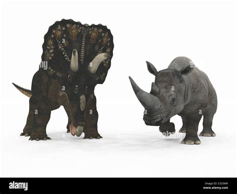 Rhino Vs Triceratops