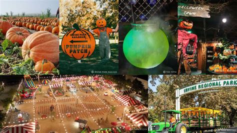 THINGS TO DO IN ORANGE COUNTY THIS FALL - Grand Legacy at the Park