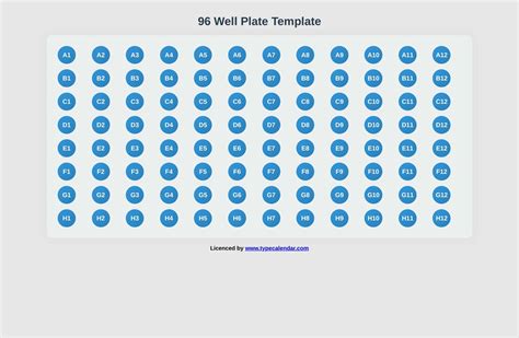 Free Printable 96 Well Plate Templates [Excel PDF, Word] Editable