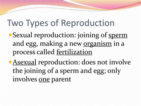 Image result for Types of Plant Reproduction