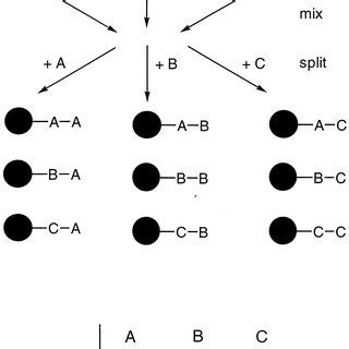 Image result for One Sequence One Bead Tutorials