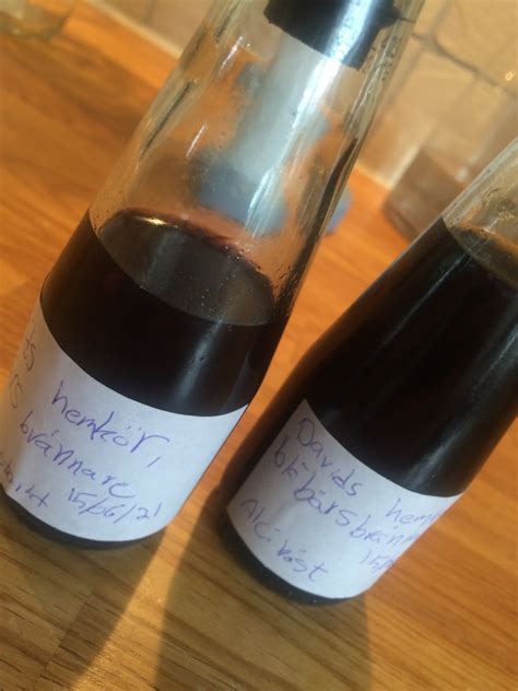 Snaps Tutorial 的图像结果