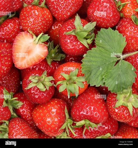 Strawberries berry fruits strawberry red berries background with leaf ...