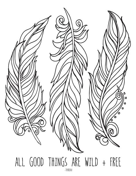 Free Feather Printables All Of The Feather Pages Are Free! - Printable ...