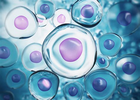 Image result for Adobe Media Encoder Install