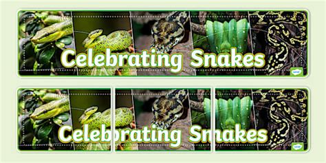 Celebrating Snakes Photo Display Banner (teacher made)