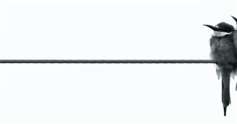 C programming | Working with threads — Teletype