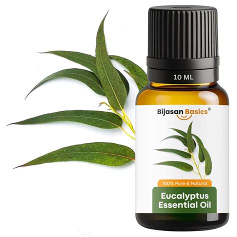 Bijasan Basics Eucalyptus Essential Oil - Pure and Aromatic Oil for ...