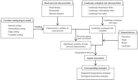 Assessing the Impact of Road Network on Urban Landscape Ecological Risk ...