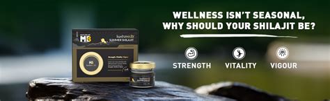 Koshaveda by MuscleBlaze Summer Shilajit Resin (20g) | With Honey ...