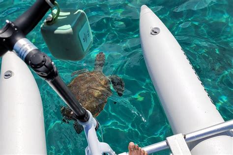 WATER BIKES CURACAO TOUR & FITNESS (2026) All You Need to Know BEFORE ...