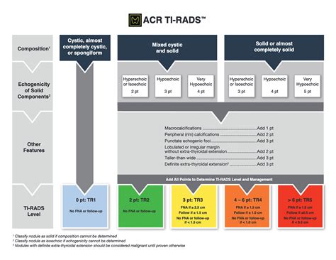 Update on ACR TI-RADS: Successes, Challenges, and Future Directions, From the AJR Special Series ...