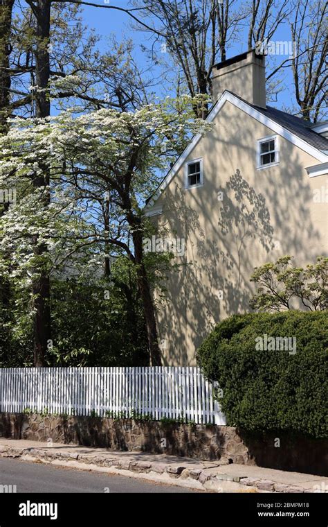 Image result for Scene Spring Trees