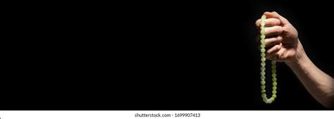 Plead 的图像结果