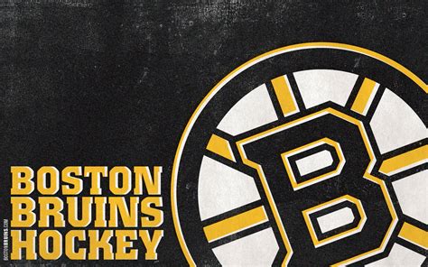 Boston Bruins 的图像结果