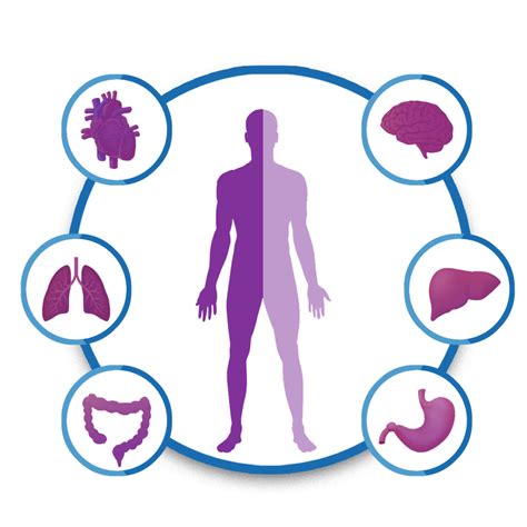 How to Choose the Right Full Body Health Checkup Package in India: An ...