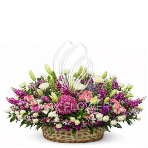 Royal Tropics – May Flower