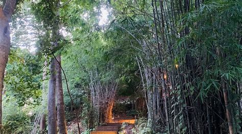 BAGO YOMA ECO RESORT (Pyay) - Guesthouse Reviews, Photos, Rate ...