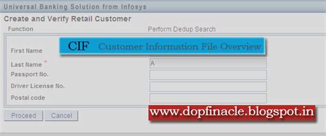 Customer Information File 的图像结果