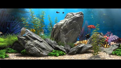 Bildergebnis für youtube screen savers background aquarium