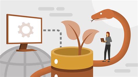 Python MongoDB Tutorial 的图像结果
