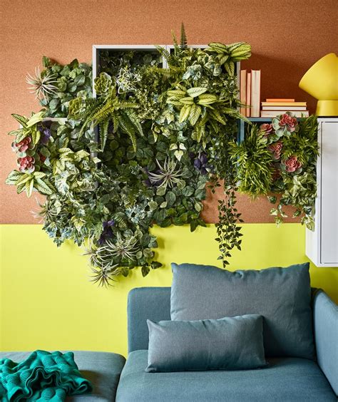 Houseplants: a basic guide to growing - IKEA