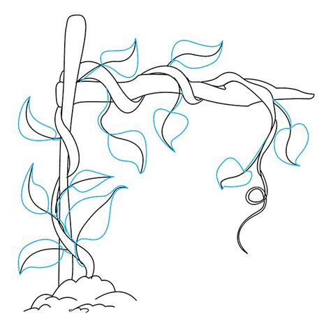 easy drawing vines