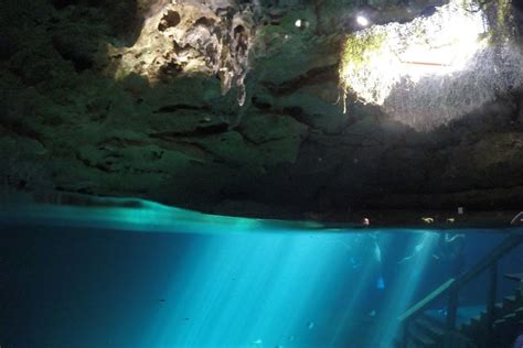 Image result for Little Devil Spring