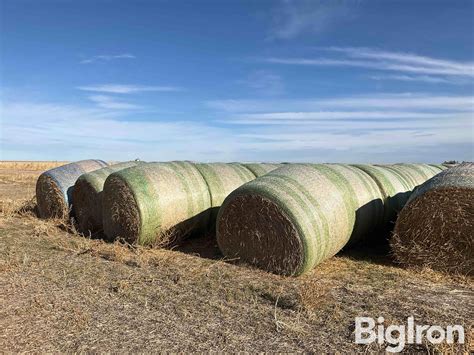 Round Straw Bales | Agriculture | BigIron