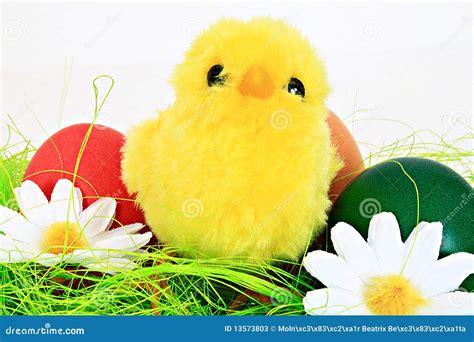 Easter Spring Chicken 的图像结果